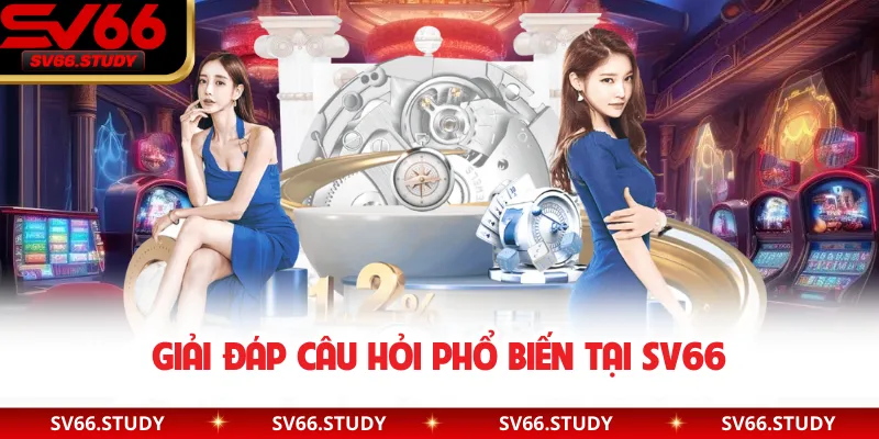 Giải đáp câu hỏi phổ biến tại SV66