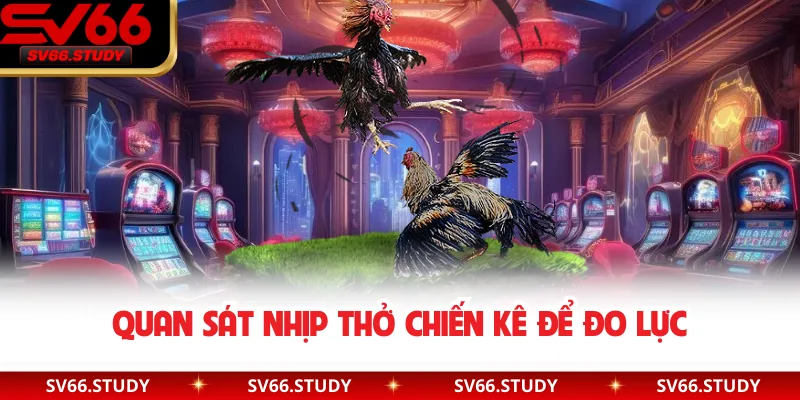 Quan sát nhịp thở chiến kê để đo lực