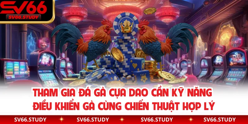 Tham gia đá gà cựa dao cần kỹ năng điều khiển gà cùng chiến thuật hợp lý